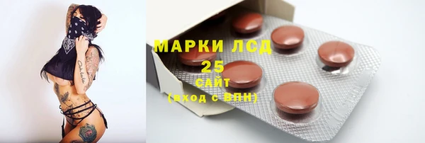 ПСИЛОЦИБИНОВЫЕ ГРИБЫ Алексин