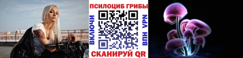 где найти   Черноголовка  кракен зеркало  Псилоцибиновые грибы Psilocybine cubensis 